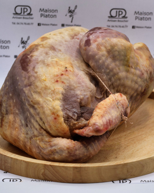 Pintade fermière